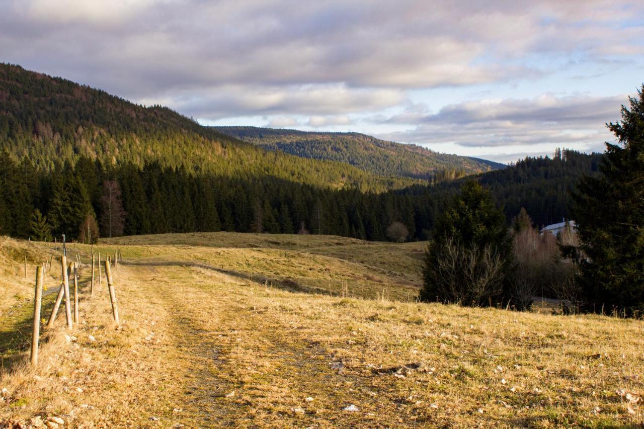 Gemuetliche Ferienwohnung - Mitten Im Schwarzwald Бернау  Экстерьер фото