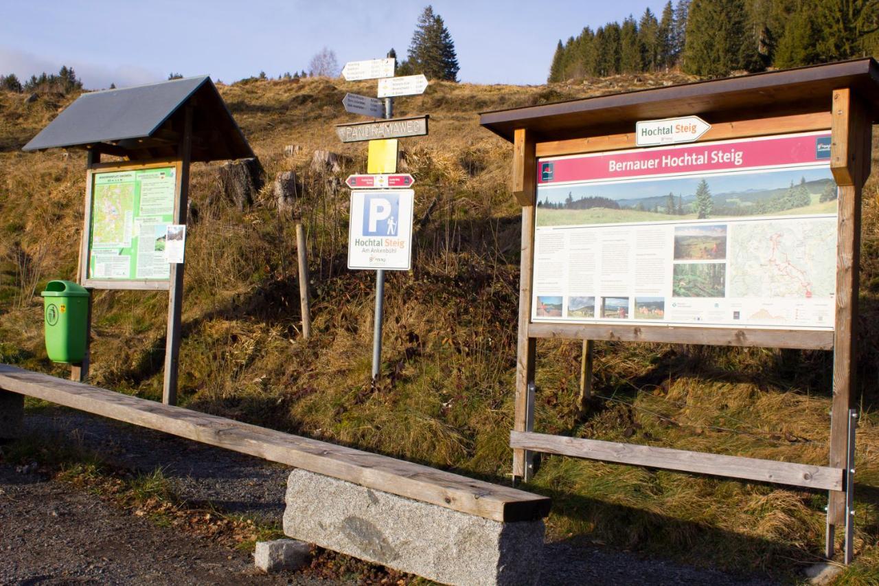 Gemuetliche Ferienwohnung - Mitten Im Schwarzwald Бернау  Экстерьер фото