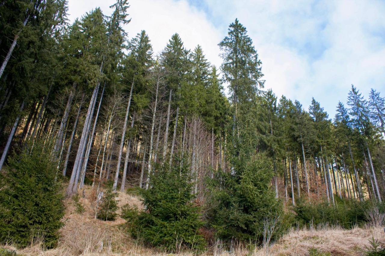 Gemuetliche Ferienwohnung - Mitten Im Schwarzwald Бернау  Экстерьер фото