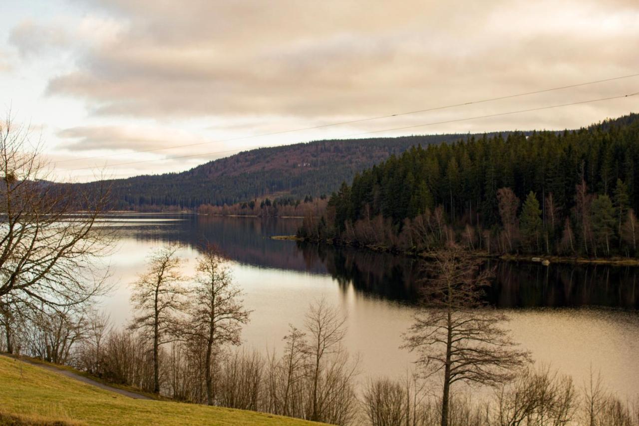 Gemuetliche Ferienwohnung - Mitten Im Schwarzwald Бернау  Экстерьер фото